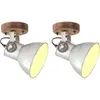 Image de Vidaxl Lampe Murale Industrielle/Plafonnier 2 Pcs ArgentÃ© 20x25 Cm E27