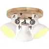 Image de Vidaxl Plafonnier Industriel 25 W Blanc 42x27 Cm E27