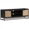 Image de vidaXL Meuble TV 120x30x40 cm Bois massif de manguier