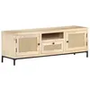 Image de vidaXL Meuble TV 120x30x40 cm Bois de manguier et canne naturelle323510