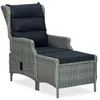 Image de vidaXL Chaise inclinable de jardin tabouret RÃ©sine tressÃ©e Gris clair
