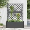 Image de vidaXL vidaXL Lit surélevé de jardin treillis système d'arrosage Anthracite