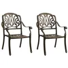 Image de vidaXL Chaises de jardin lot de 2 Aluminium coulé Bronze315567