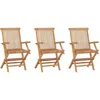 Image de vidaXL Vidaxl Chaises De Jardin Pliables 3 Pcs Bois De Teck Massif