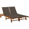Image de Vidaxl Chaise Longue De Jardin 2 Places Avec Coussins Acacia Solide