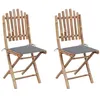 Image de vidaXL Chaises pliables de jardin lot de 2 avec coussins Bambou