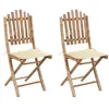 Image de vidaXL Chaises pliables de jardin lot de 2 avec coussins Bambou
