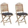 Image de Vidaxl Chaises Pliables De Jardin 2 Pcs Avec Coussins Bambou