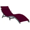 Image de vidaXL Vidaxl Chaise Longue Avec Coussin Gris Bois D'acacia Solide