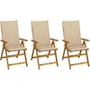 Image de Vidaxl Chaises Pliables De Jardin 3 Pcs Avec Coussins Bois D'acacia