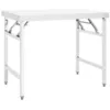 Image de vidaXL Table de travail pliable de cuisine 100x60x80 cm Inox