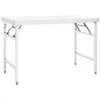 Image de vidaXL Table de travail pliable de cuisine 120x60x80 cm Inox326158