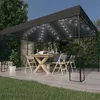 Image de vidaXL Tonnelle avec guirlande lumineuse à LED 3x4 m Anthracite3070323