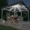 Image de vidaXL Tonnelle avec guirlande lumineuse LED 300x300 cm Anthracite