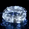 Image de Vidaxl Guirlande Lumineuse Avec 300 Led Blanc Froid 30 M