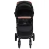 Image de vidaXL Poussette pour bébé 2-en-1 Anthracite Acier10372