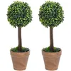 Image de vidaXL vidaXL Plantes de buis artificiel 2 pcs avec pots Boule Vert 41 cm