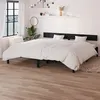 Image de vidaXL Cadre de lit sans matelas noir bois massif810166
