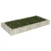 Image de vidaXL Lit surélevé à gabion Acier galvanisé 200x100x20 cm