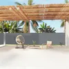 Image de vidaXL Auvent latéral rétractable Anthracite 160x1200 cm