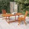 Image de vidaXL Chaises de jardin pliables lot de 2 Bois d'eucalyptus massif316069