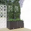 Image de vidaXL Jardinière avec treillis Noir 80x40x136 cm PP318271