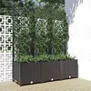 Image de vidaXL Jardinière avec treillis Noir 120x40x136 cm PP318273