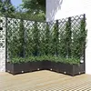 Image de vidaXL Jardinière avec treillis noir 120x120x121,5 cm PP318276