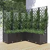 Image de vidaXL Jardinière avec treillis Noir 120x120x136 cm PP318277