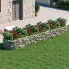 Image de vidaXL Lit surélevé à gabion Fer galvanisé 500x100x50 cm