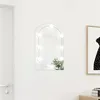 Image de vidaXL Miroir avec éclairage LED 60x40 cm Verre Arche