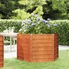 Image de vidaXL Lit surélevé de jardin rouillé 129x129x77 cm acier corten151947