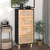 Image de vidaXL Buffet Noir 40x30x90 cm Bois de pin massif et rotin naturel345643