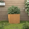 Image de vidaXL Jardinière 32x30x29 cm acier corten821547