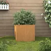 Image de vidaXL Jardinière 42x40x39 cm acier corten821549