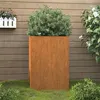 Image de vidaXL Jardinière 42x38x75 cm acier corten821554