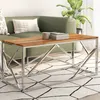 Image de vidaXL Table basse argentÃ© acier inoxydable et bois massif d'acacia