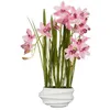 Image de Plante artificielle - MICA DECORATIONS - Cymbidium - 49x40x81 cm - Polyester - Rose