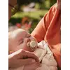 Image de Lot de 2 sucettes ultra soft 6-18 mois forest friends vert TU