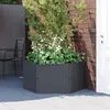 Image de vidaXL Jardinière anthracite PP154984