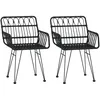 Image de vidaXL Vidaxl Chaises De Jardin 2 Pcs Avec Accoudoir Noir 56x64x80 Cm