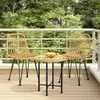 Image de vidaXL Chaises de jardin lot de 2 48x62x84 cm Résine tressée319428