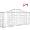 Image de vidaXL Vidaxl Paniers À Gabions Arqués 40 Pcs 200x30x80/100 Cm Fer Galvanisé