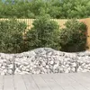 Image de vidaXL Paniers à gabions arqués 15 pcs 200x50x60/80 cm fer galvanisé