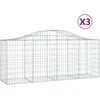 Image de Vidaxl Paniers Ã Gabions ArquÃ©s 3 Pcs 200x50x80/100 Cm Fer GalvanisÃ©