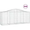 Image de vidaXL Vidaxl Paniers À Gabions Arqués 40 Pcs 200x50x80/100 Cm Fer Galvanisé