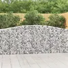 Image de vidaXL Paniers à gabions arqués 2 pcs 400x30x100/120 cm Fer galvanisé