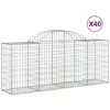 Image de vidaXL Paniers À Gabions Arqués 40 Pcs 200x50x80/100 Cm Fer Galvanisé Vidaxl Vidaxl