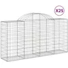 Image de vidaXL Paniers À Gabions Arqués 25 Pcs 200x50x100/120 Cm Fer Galvanisé Vidaxl Vidaxl
