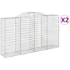 Image de Vidaxl Paniers Ã Gabions ArquÃ©s 2 Pcs 300x50x160/180 Cm Fer GalvanisÃ©